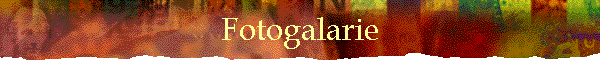 Fotogalarie
